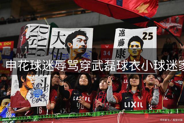 申花球迷辱骂穿武磊球衣小球迷家长遭处罚 中足联重拳整治赛场不文明